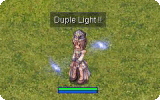 Duple Light Info.gif