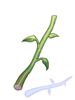 ManyStems.png
