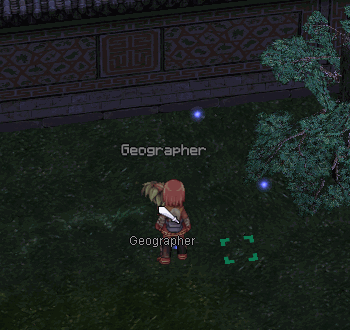 Roundhouse Kick Info.gif