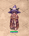 Catwitchhat.gif