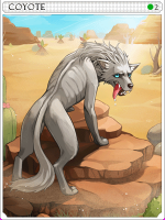 Coyote card.png